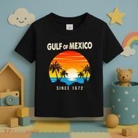 Gulf Of Mexico Since 1672 Toddler T-Shirt thumb 3