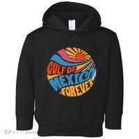 Gulf Of Mexico Forever Sunset Beach Vacation America Toddler Hoodie thumb 0