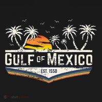 Gulf Of Mexico Since 1550 Florida Beach Gulf Coast Women's Tank Top thumb 5
