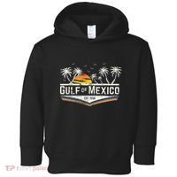 Gulf Of Mexico Since 1550 Florida Beach Gulf Coast Toddler Hoodie thumb 0