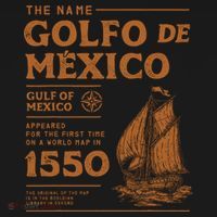 Gulf Of Mexico First Map Since 1550 Ornament thumb 1