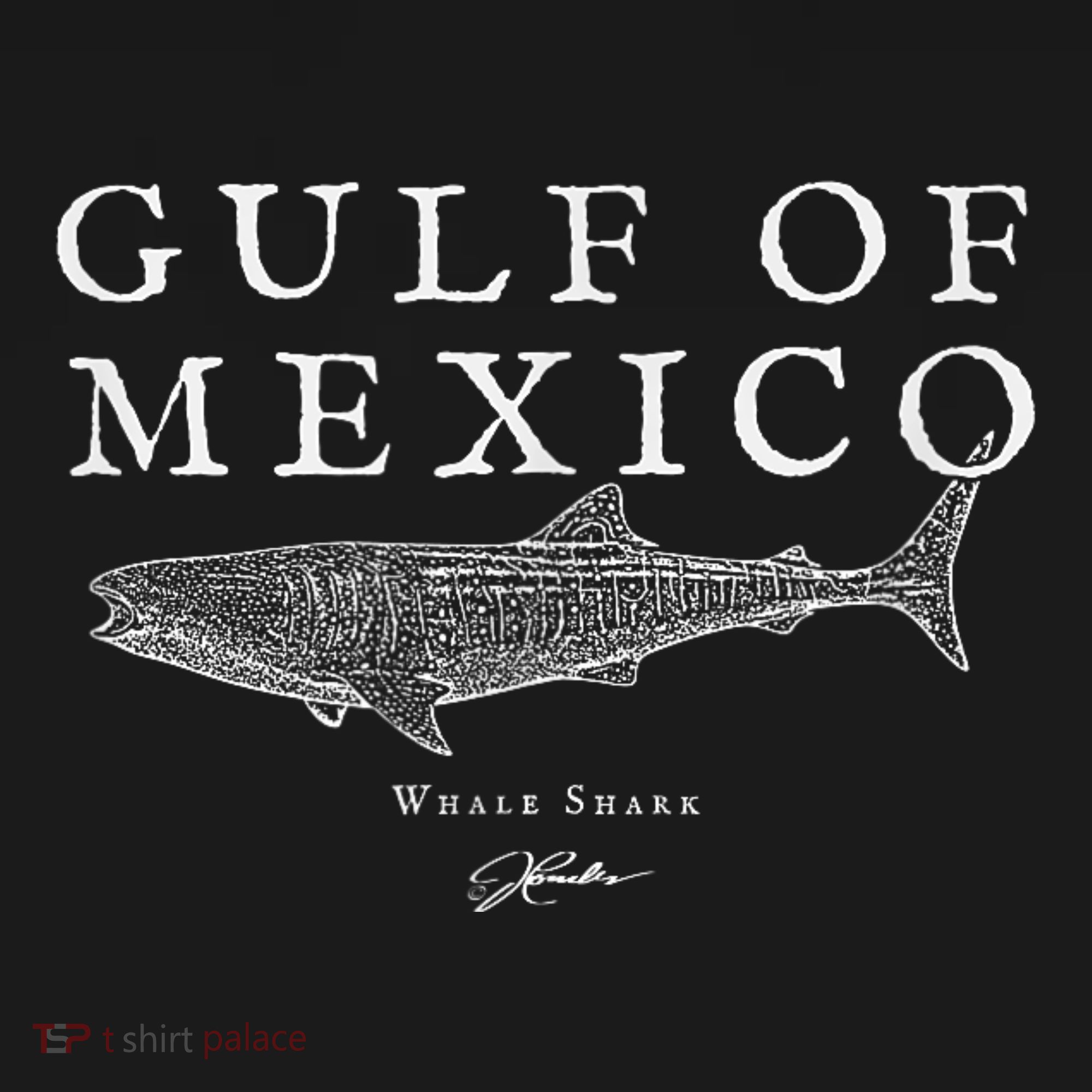Gulf Of Mexico Whale Shark Women's Tank Top