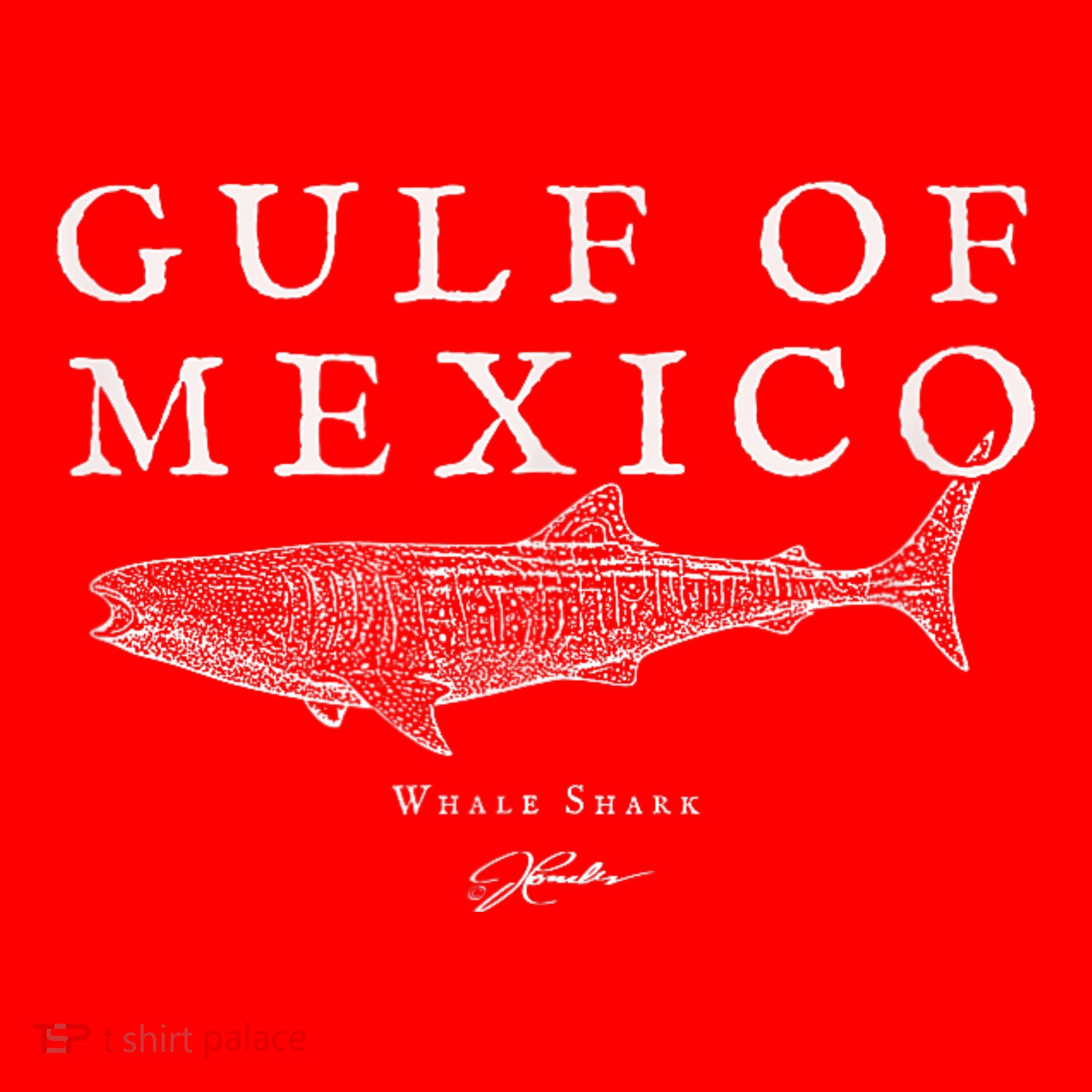 Gulf Of Mexico Whale Shark Santa Hat