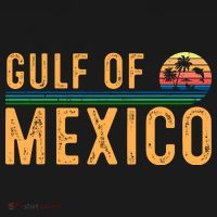 Gulf Of Mexico Forever Toddler T-Shirt thumb 4