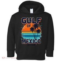 Gulf Of Mexico Since 1550 Retro Beach Toddler Hoodie thumb 0