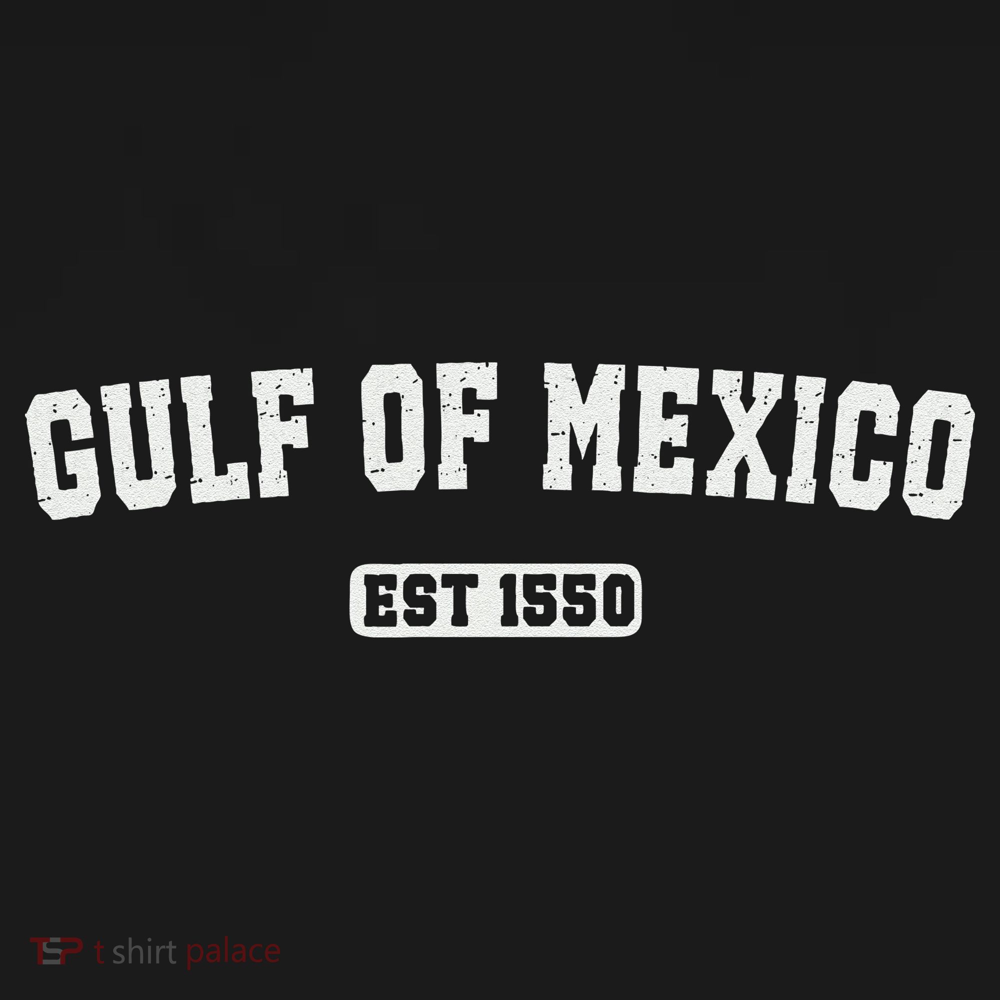 Gulf Of Mexico Est 1550 Women's Tank Top