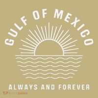 Gulf Of Mexico Always & Forever Vintage Sunset Political T-Shirt thumb 7