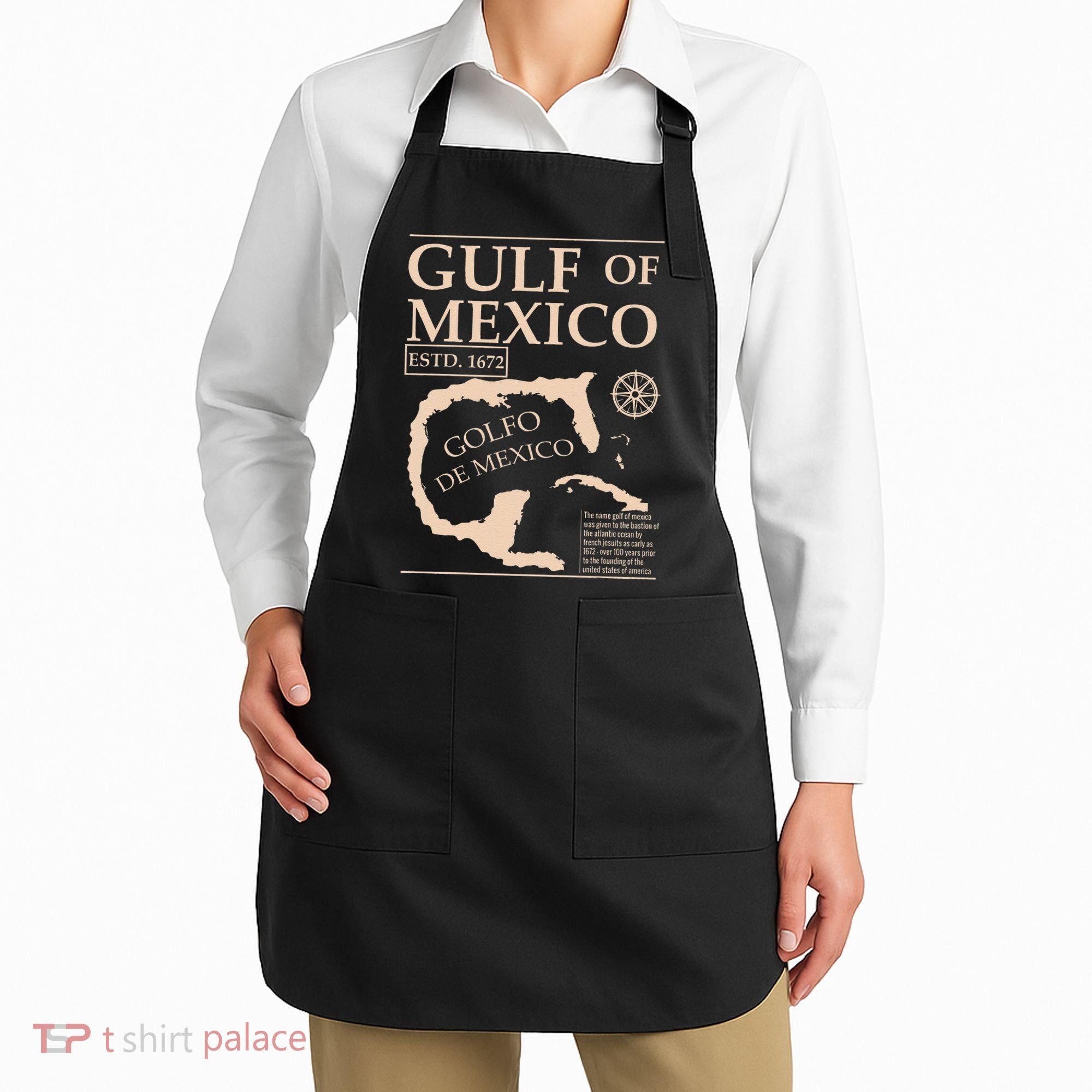 Gulf Of Mexico 1672 Historic Map Apron