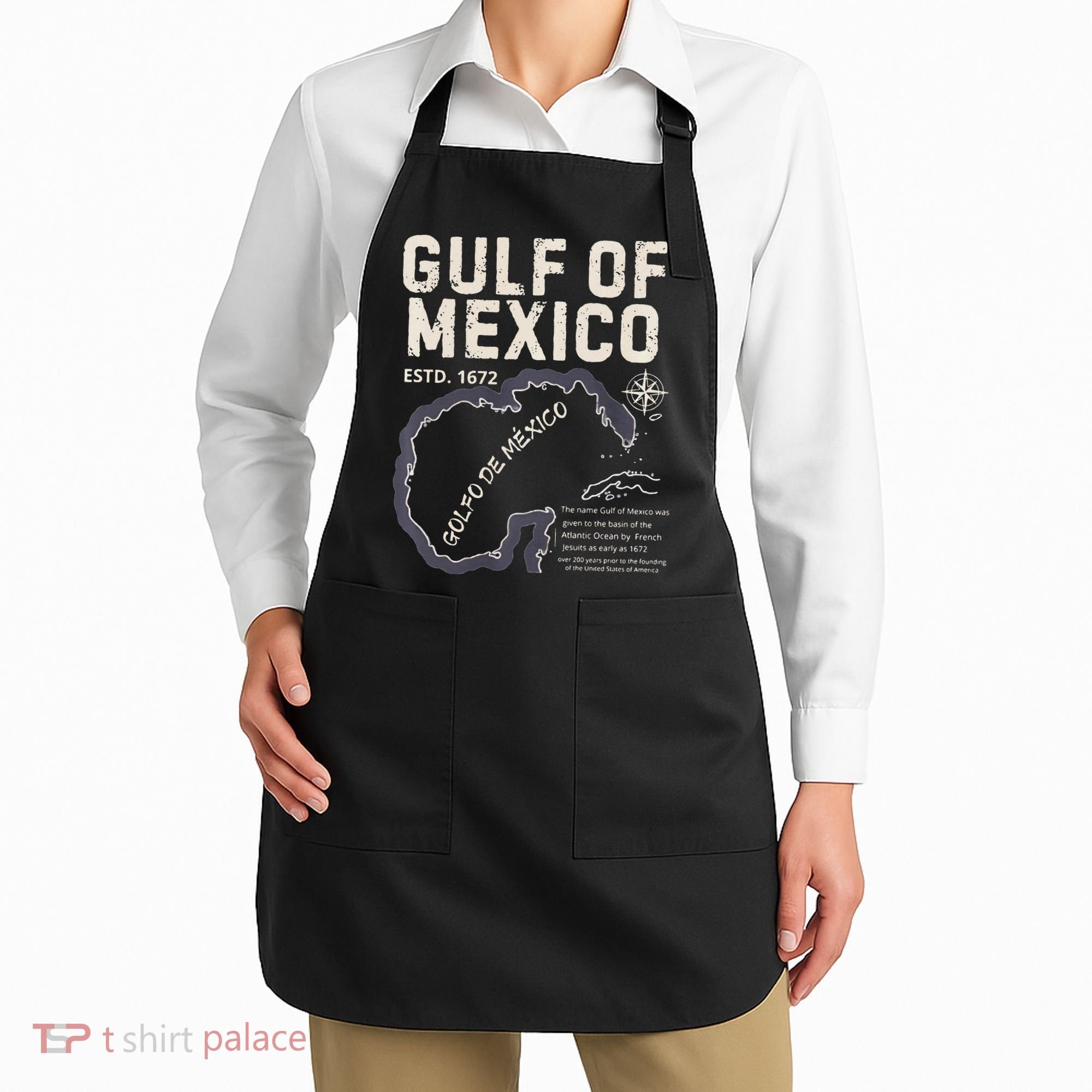 Gulf Of Mexico 1672 Historic Map Golfo De MéXico Estd. 1672 Apron