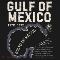 Gulf Of Mexico 1672 Historic Map Golfo De MéXico Estd. 1672 Toddler Hoodie thumb 2
