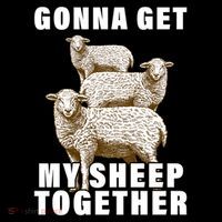 Gonna Get My Sheep Together Ornament thumb 1
