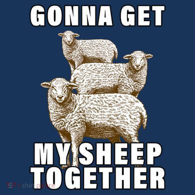 Gonna Get My Sheep Together Magnet