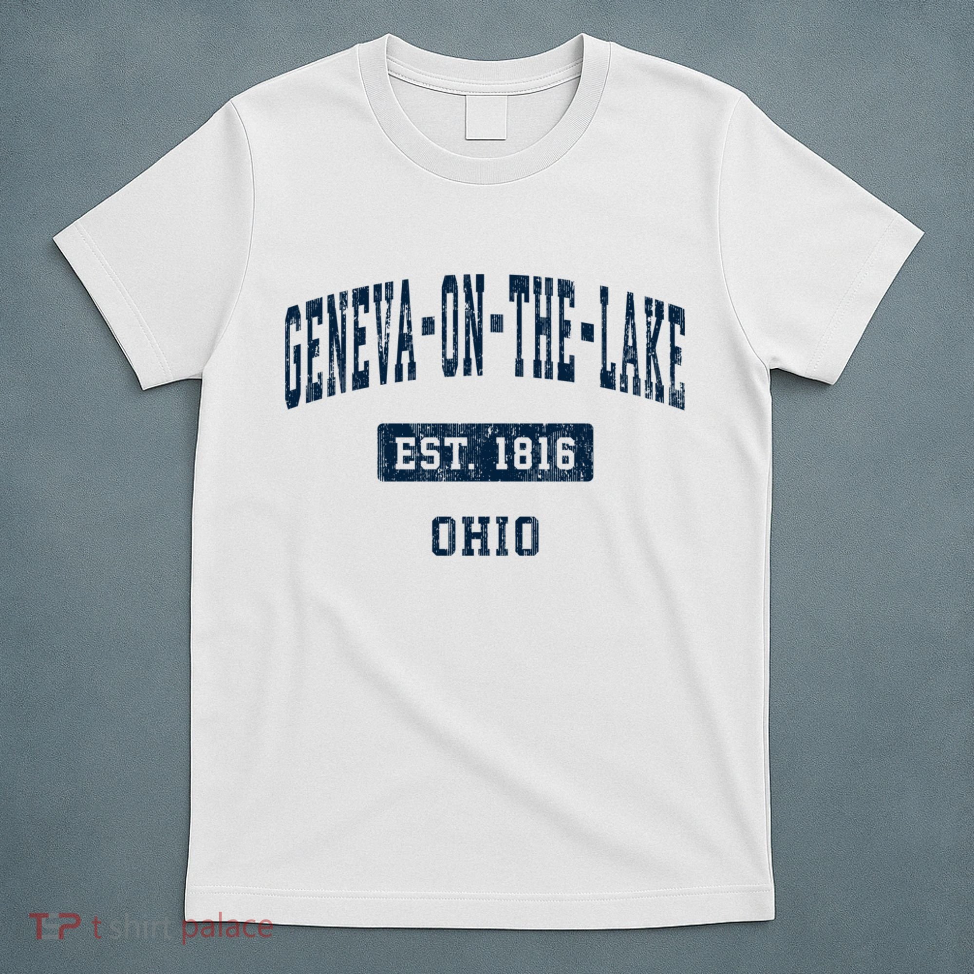 Genevaonthelake Ohio Oh Vintage Sports Established T-Shirt