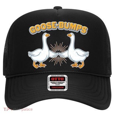 Goose Bumps Hat