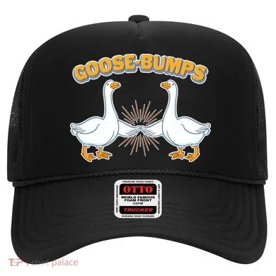 Goose Bumps Hat