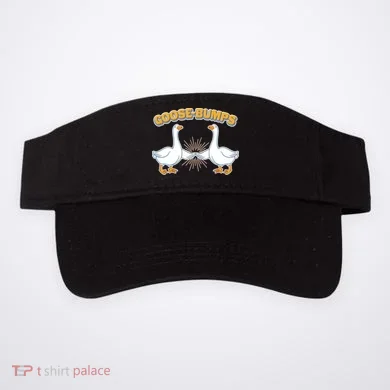 Visor