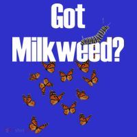 Got Milkweed? Women's T-Shirt thumb 6