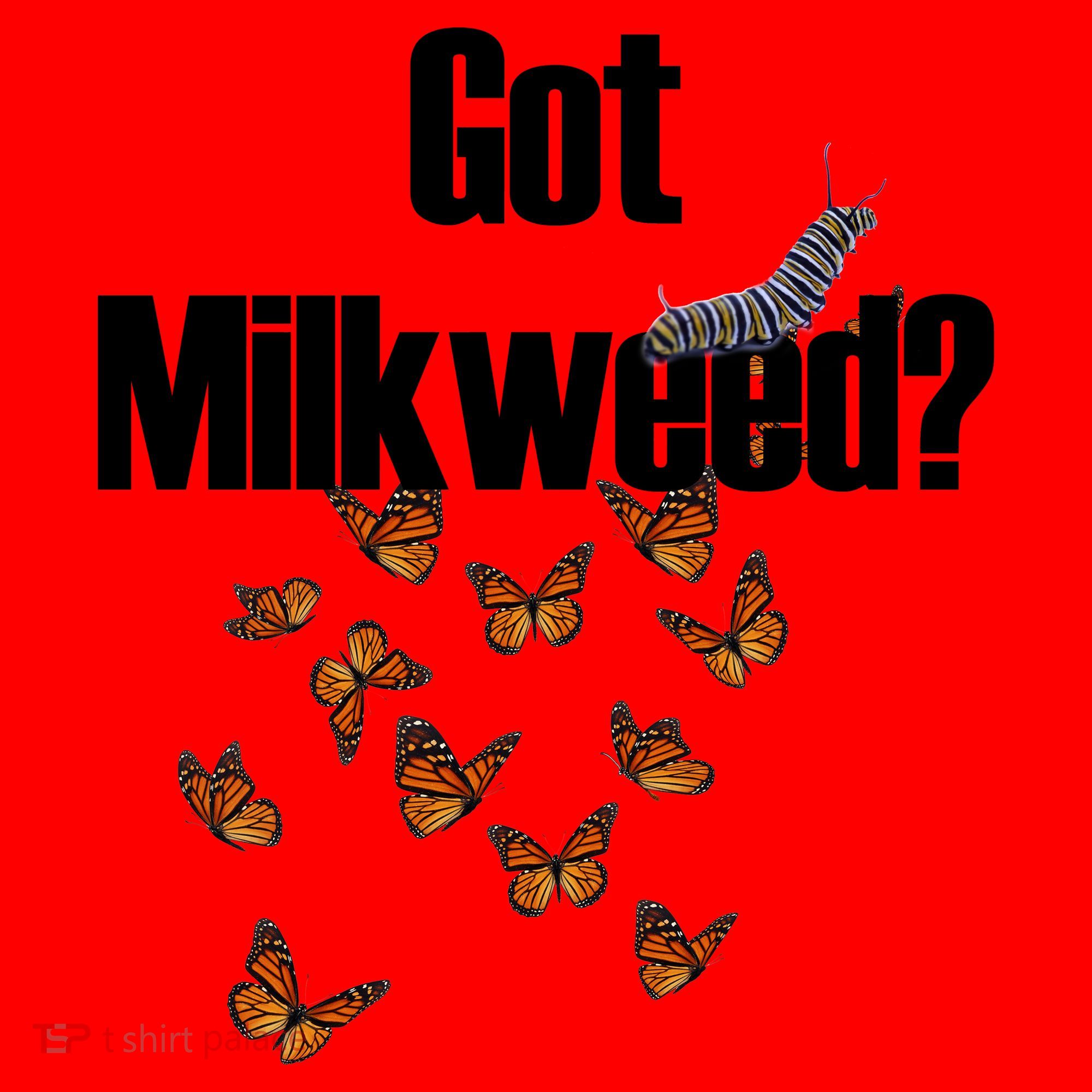 Got Milkweed? Santa Hat