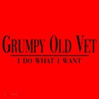 Grumpy Old Vet I Do What I Want Funny Military Veteran Style Gift Santa Hat thumb 1