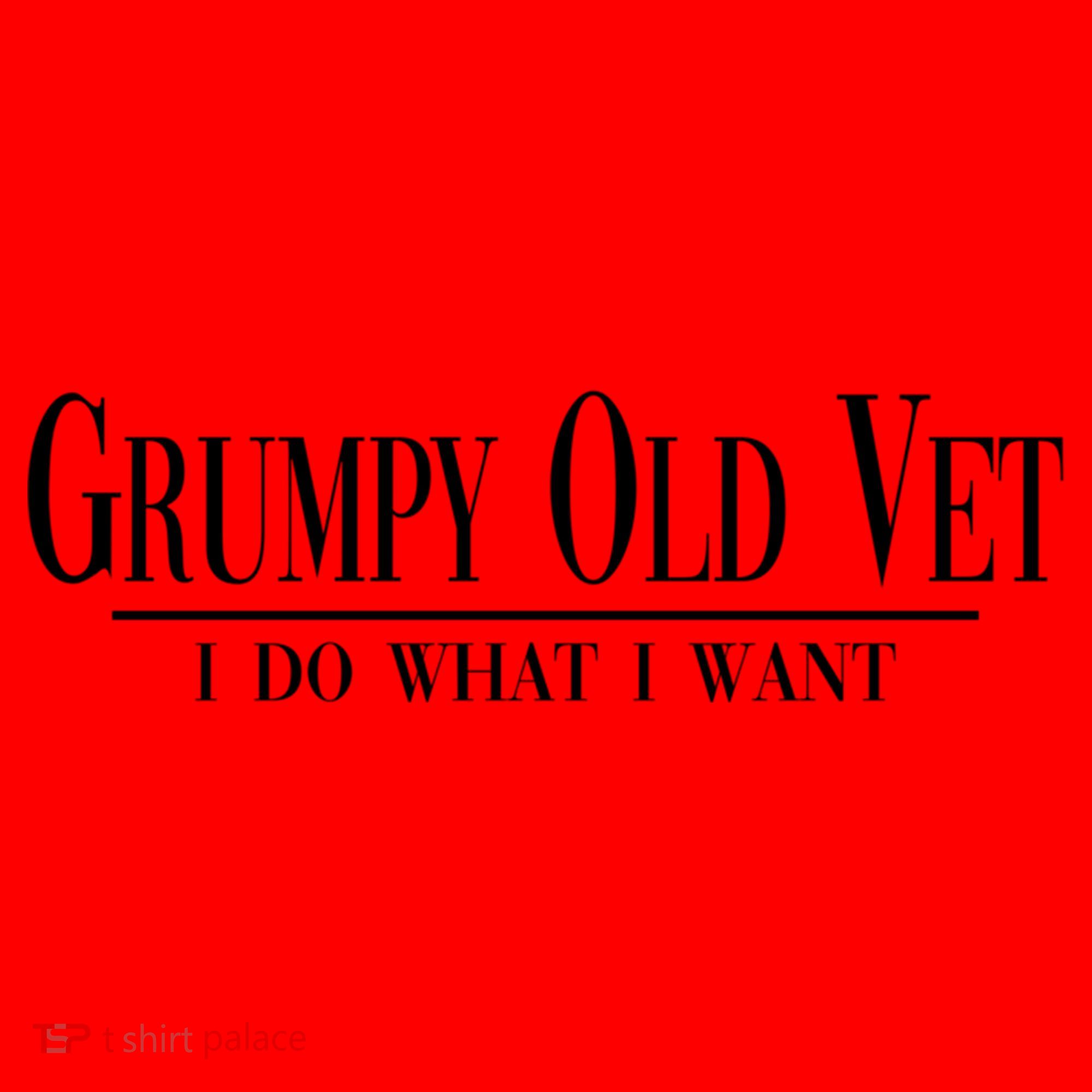 Grumpy Old Vet I Do What I Want Funny Military Veteran Style Gift Santa Hat