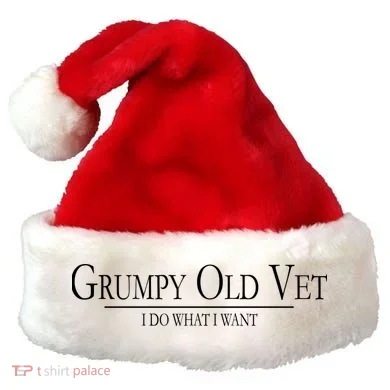 Santa Hat