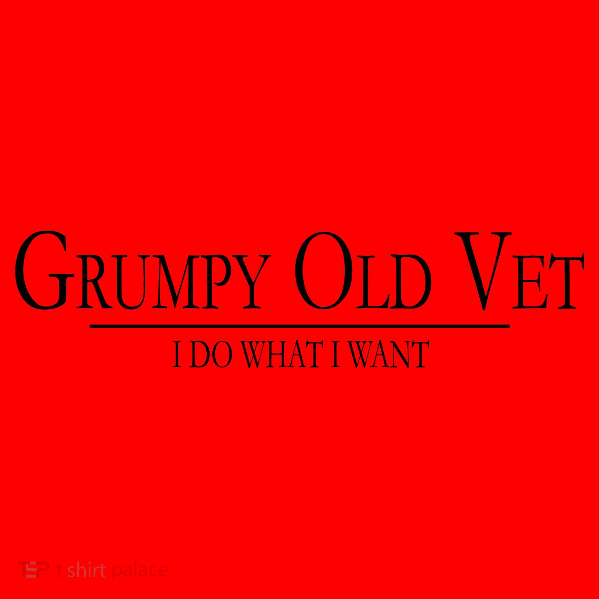 Grumpy Old Vet I Do What I Want Santa Hat