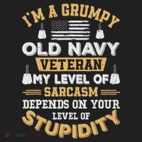 Grumpy Old Veteran Patriotic Funny Military Veteran Usa Tumbler thumb 3