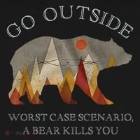Go Outside Worst Case Scenario A Bear Kills You Camping Toddler Hoodie thumb 2