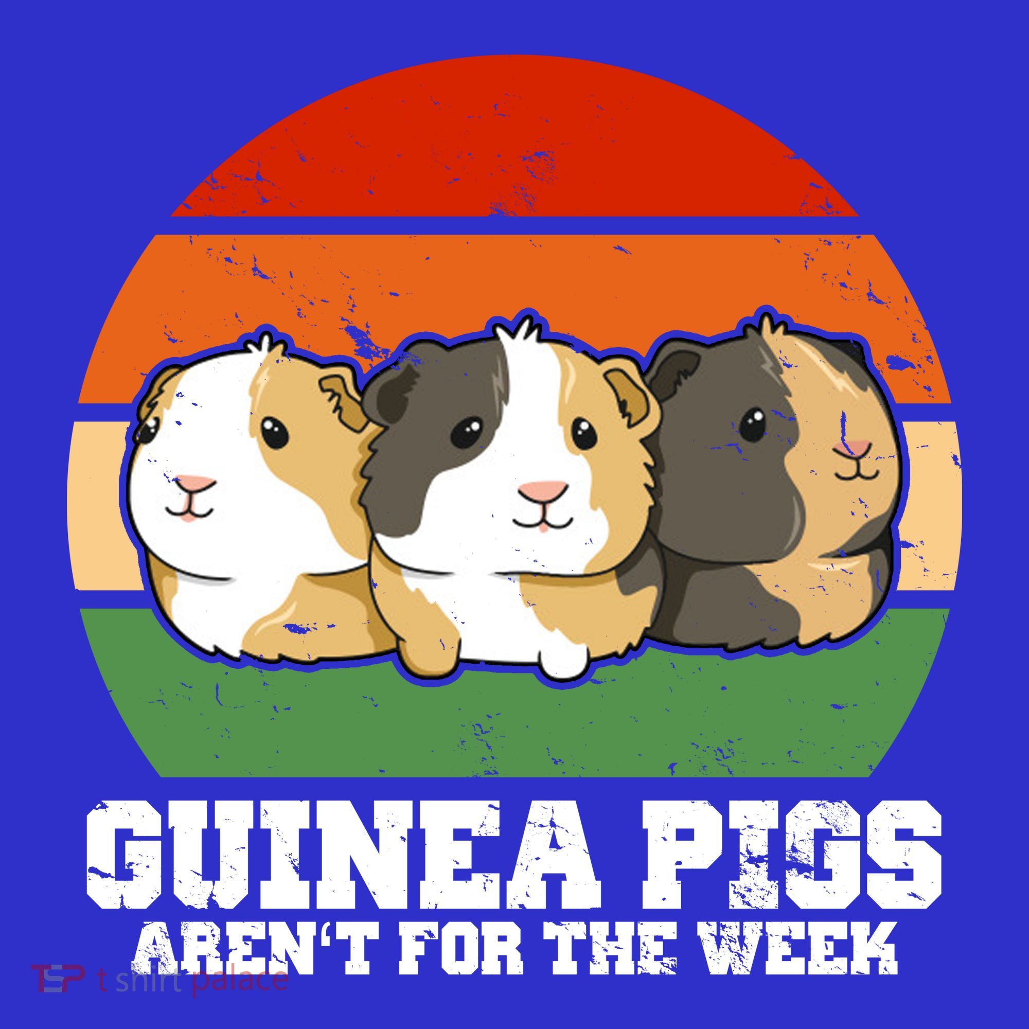 Guinea Pigs Aren't For The Week Women's Tank Top