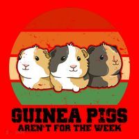 Guinea Pigs Aren't For The Week Santa Hat thumb 1