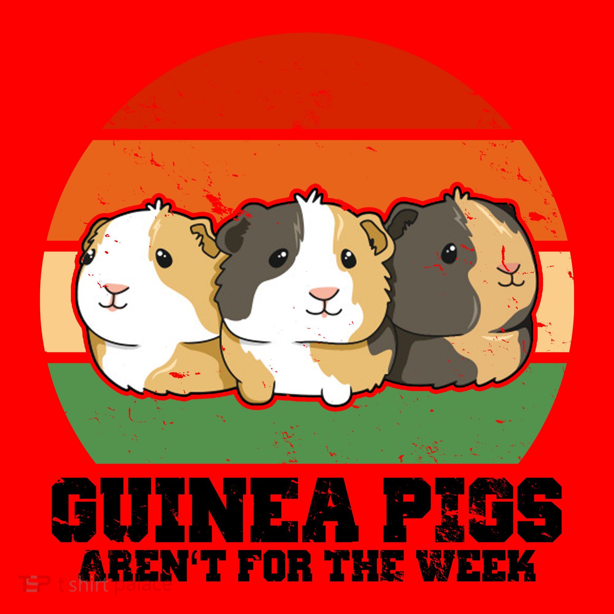 Guinea Pigs Aren't For The Week Santa Hat