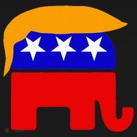 Gop President Donald Trump Republican Elephant Hair Hoodie thumb 2