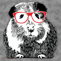 Guinea Pig Funny Guinea Pig Tee Cute Guinea Pig Women's Tank Top thumb 5