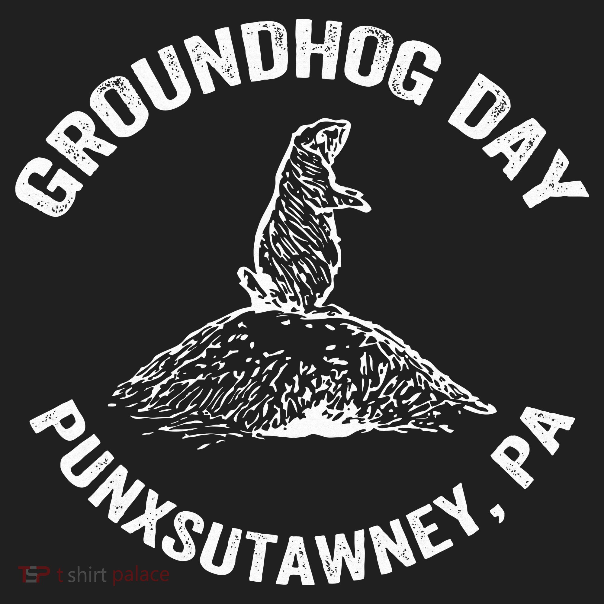 Groundhog Punxsutawney Funny Groundhog Day Shadow Gift 24oz Duet Stainless Steel Tumbler