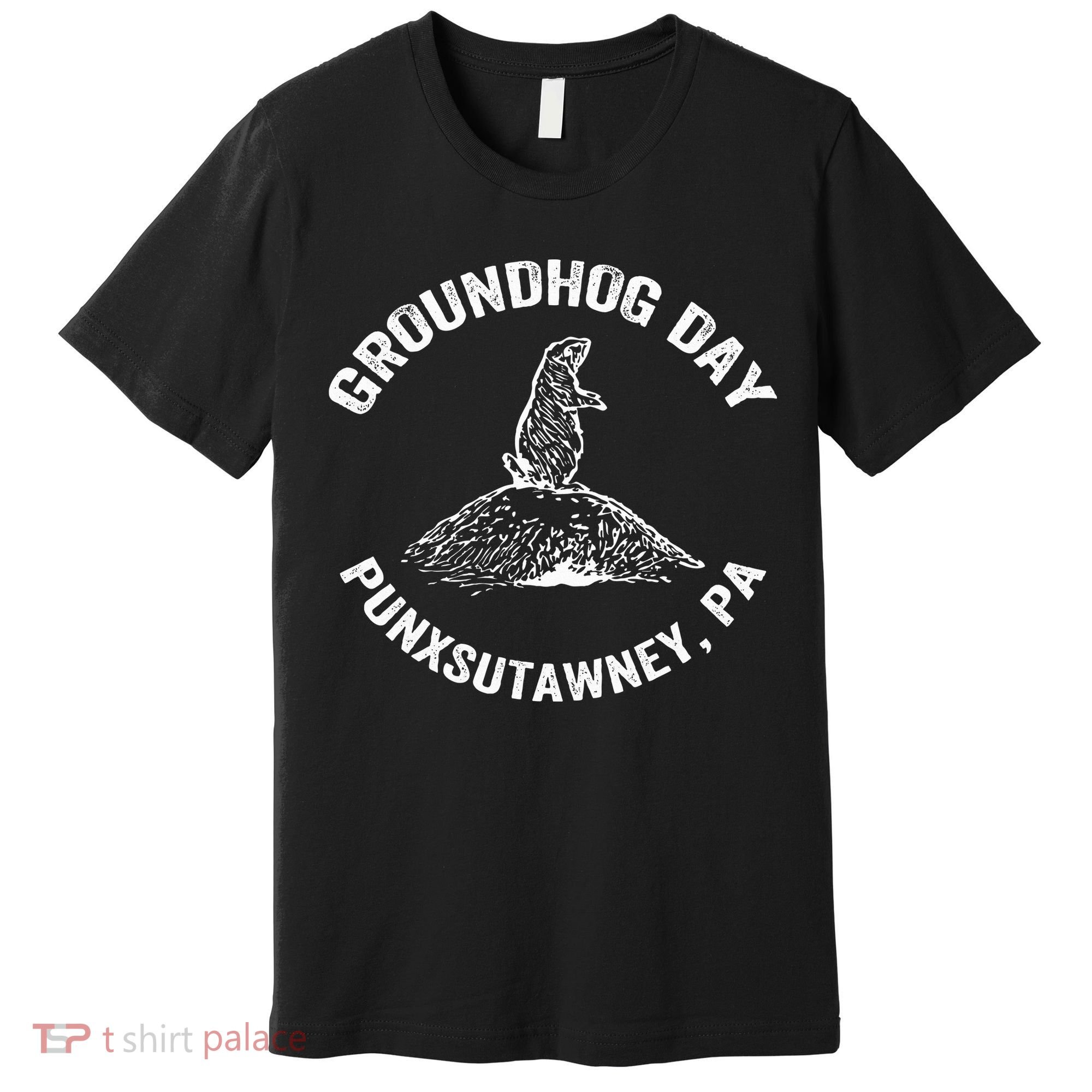 Groundhog Punxsutawney Funny Groundhog Day Shadow Gift Premium T-Shirt