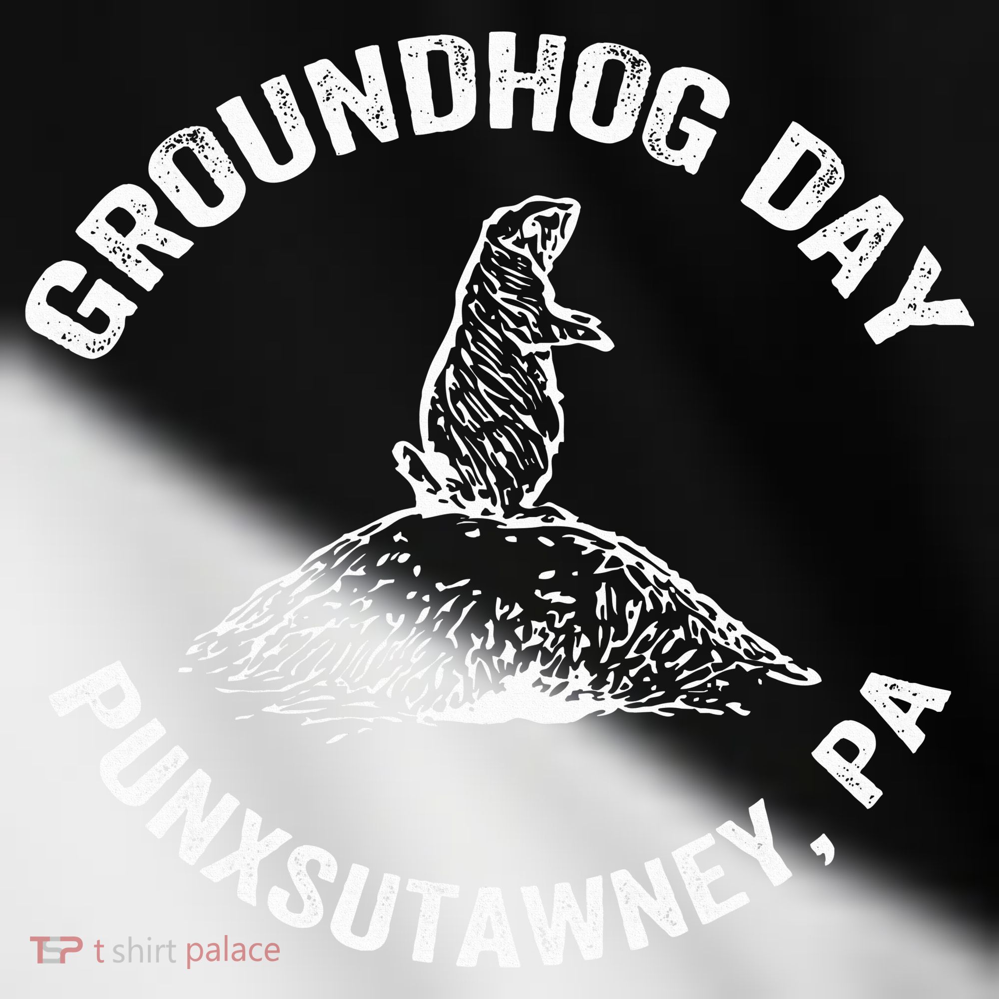 Groundhog Punxsutawney Funny Groundhog Day Shadow Gift Toddler Fine Jersey T-Shirt