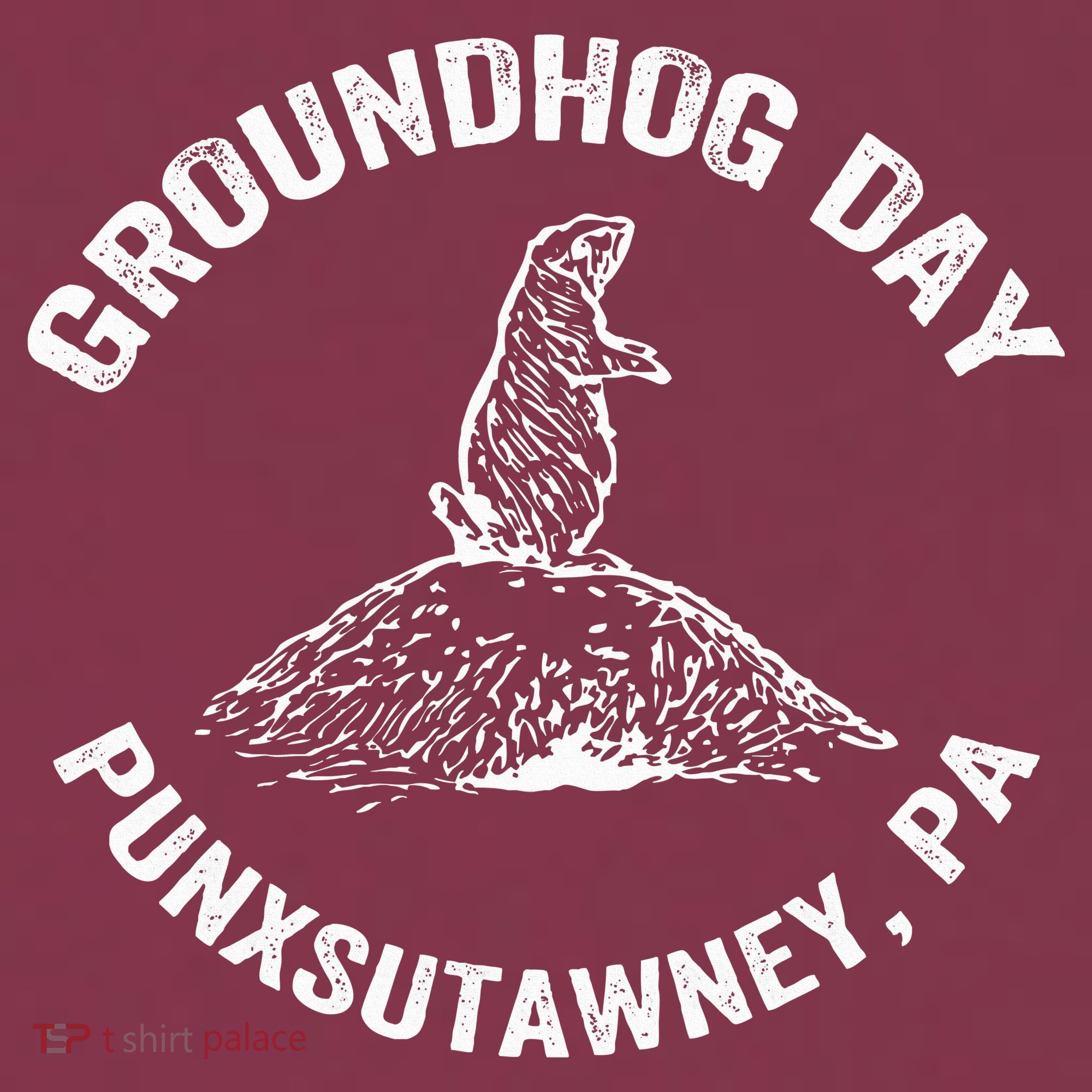 Groundhog Punxsutawney Funny Groundhog Day Shadow Gift 16oz Travel Tumbler