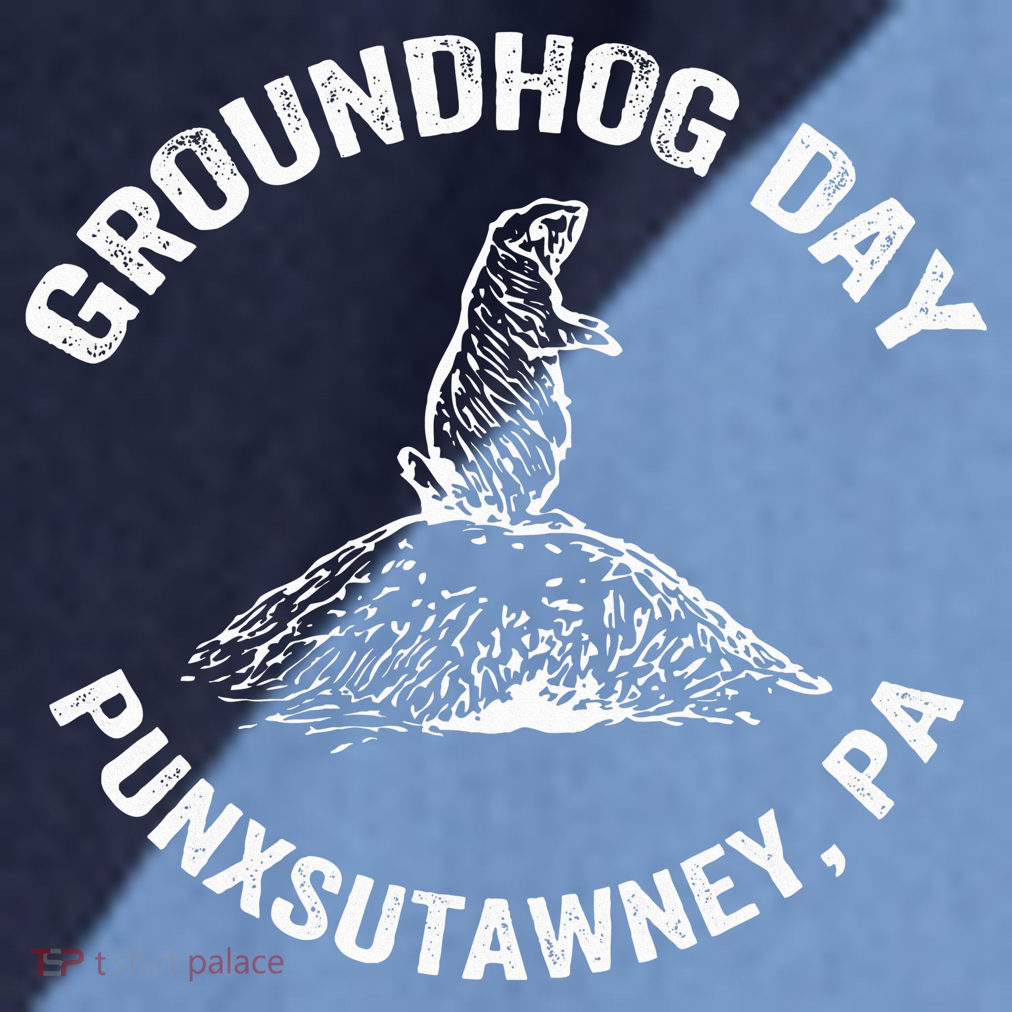 Groundhog Punxsutawney Funny Groundhog Day Shadow Gift Raglan Baseball Sleeve Shirt
