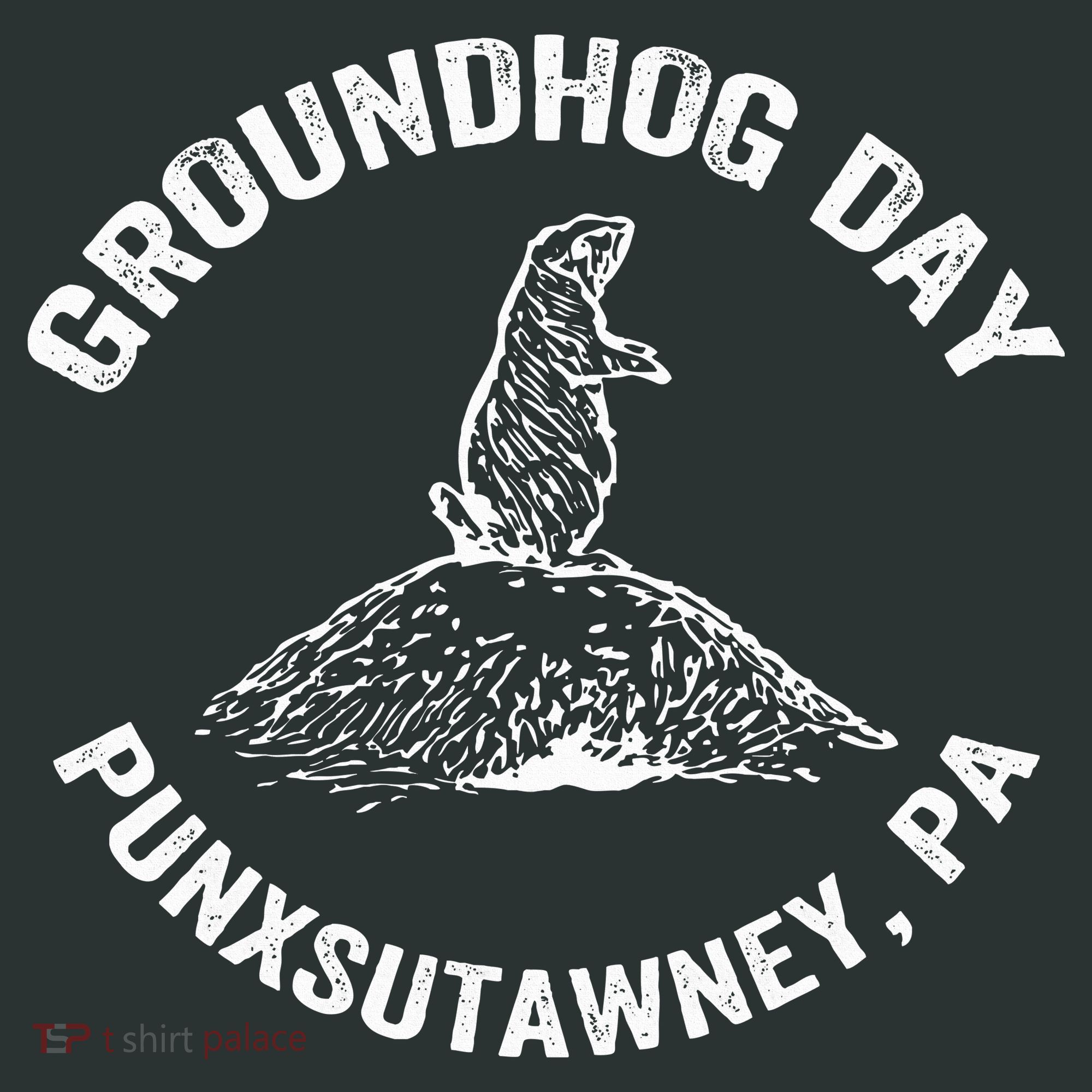 Groundhog Punxsutawney Funny Groundhog Day Shadow Gift Infant Baby Jersey Bodysuit