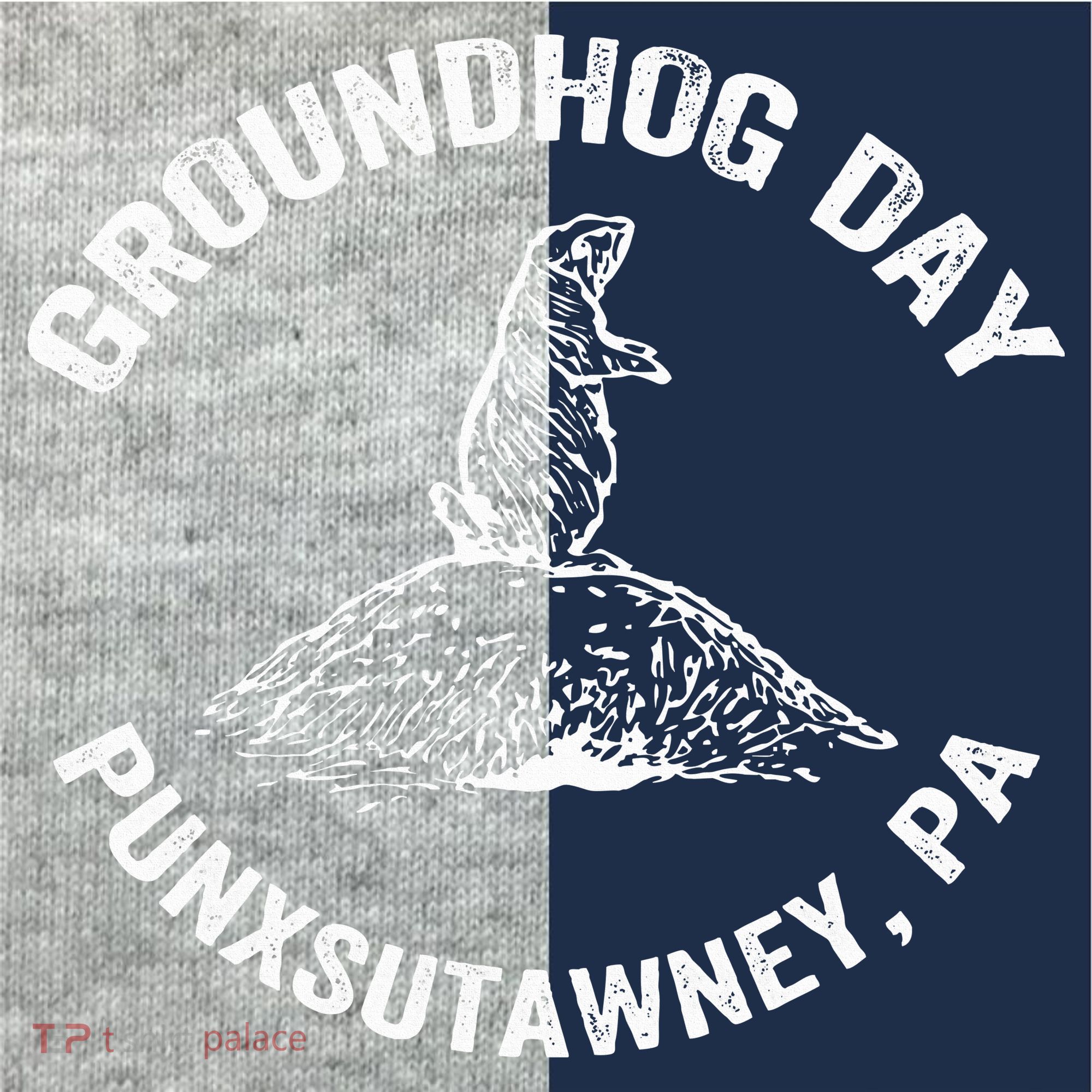 Groundhog Punxsutawney Funny Groundhog Day Shadow Gift Kids Colorblock Raglan Jersey