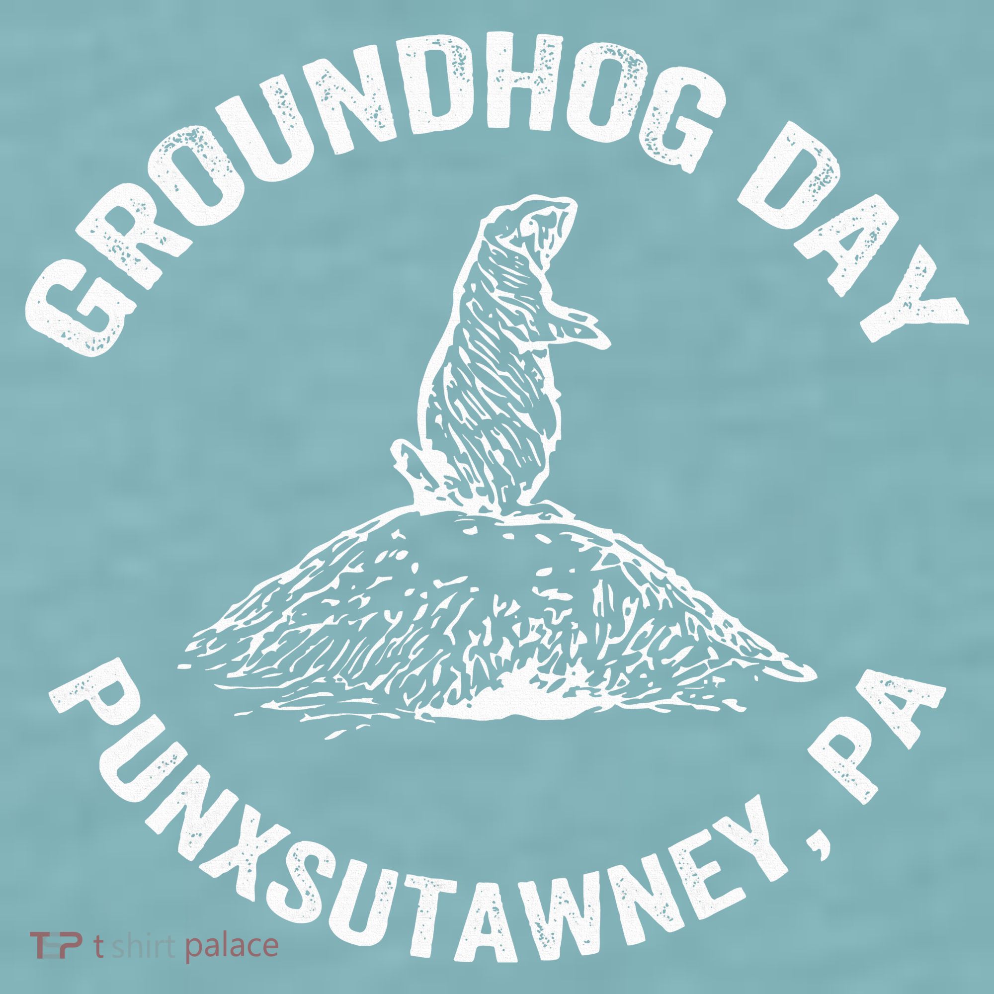 Groundhog Punxsutawney Funny Groundhog Day Shadow Gift Sueded Cloud Jersey T-Shirt