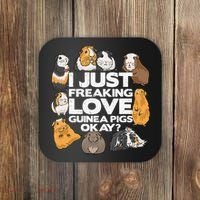 Guinea Pig Guinea Pig Lover Tee Funny Guinea Pig Coaster thumb 0