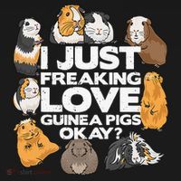 Guinea Pig Guinea Pig Lover Tee Funny Guinea Pig Polo thumb 3