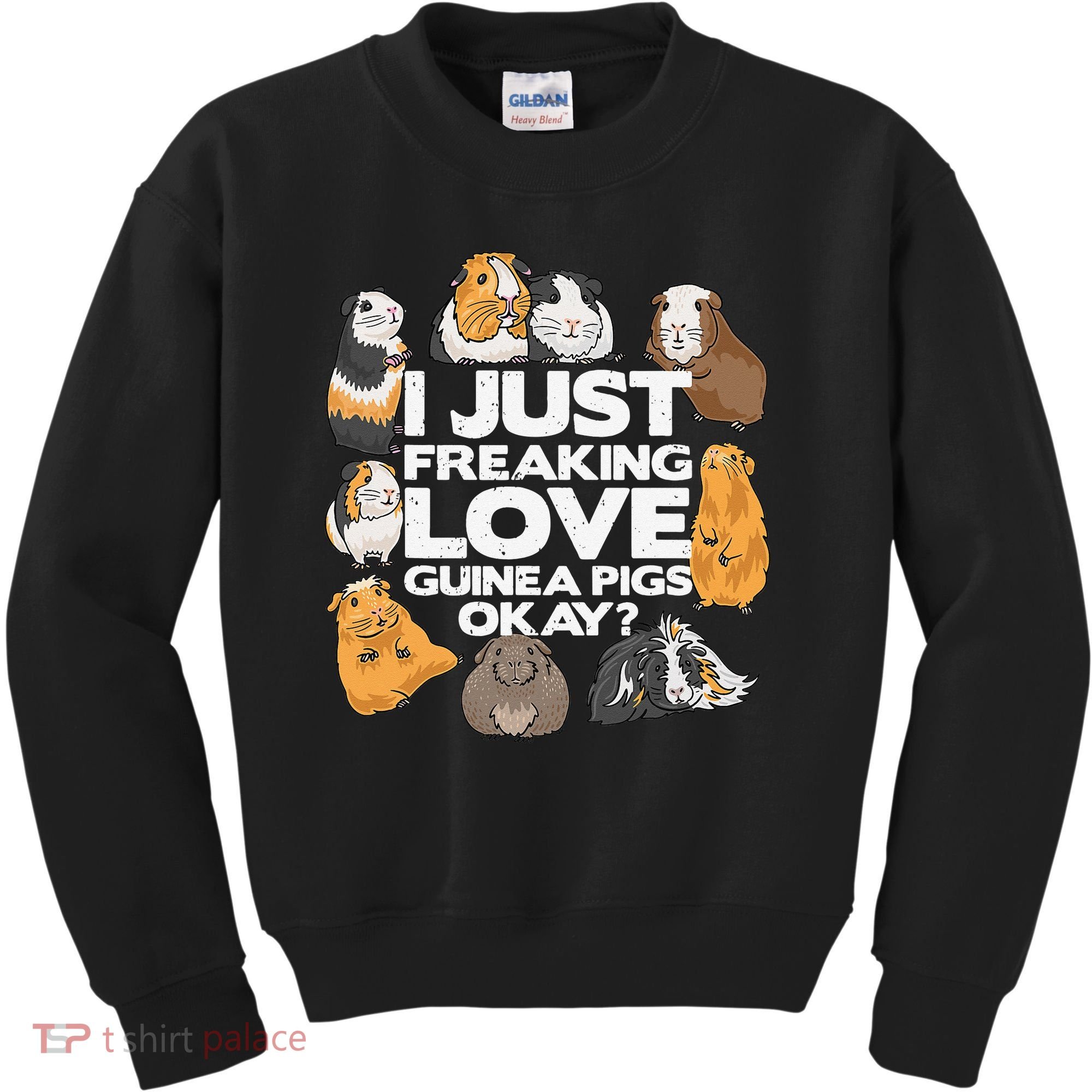 Guinea Pig Guinea Pig Lover Tee Funny Guinea Pig Kids Sweatshirt