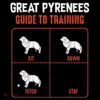 Great Pyrenees Guide To Training Funny Dog Pet Lover Coffee Mug thumb 5