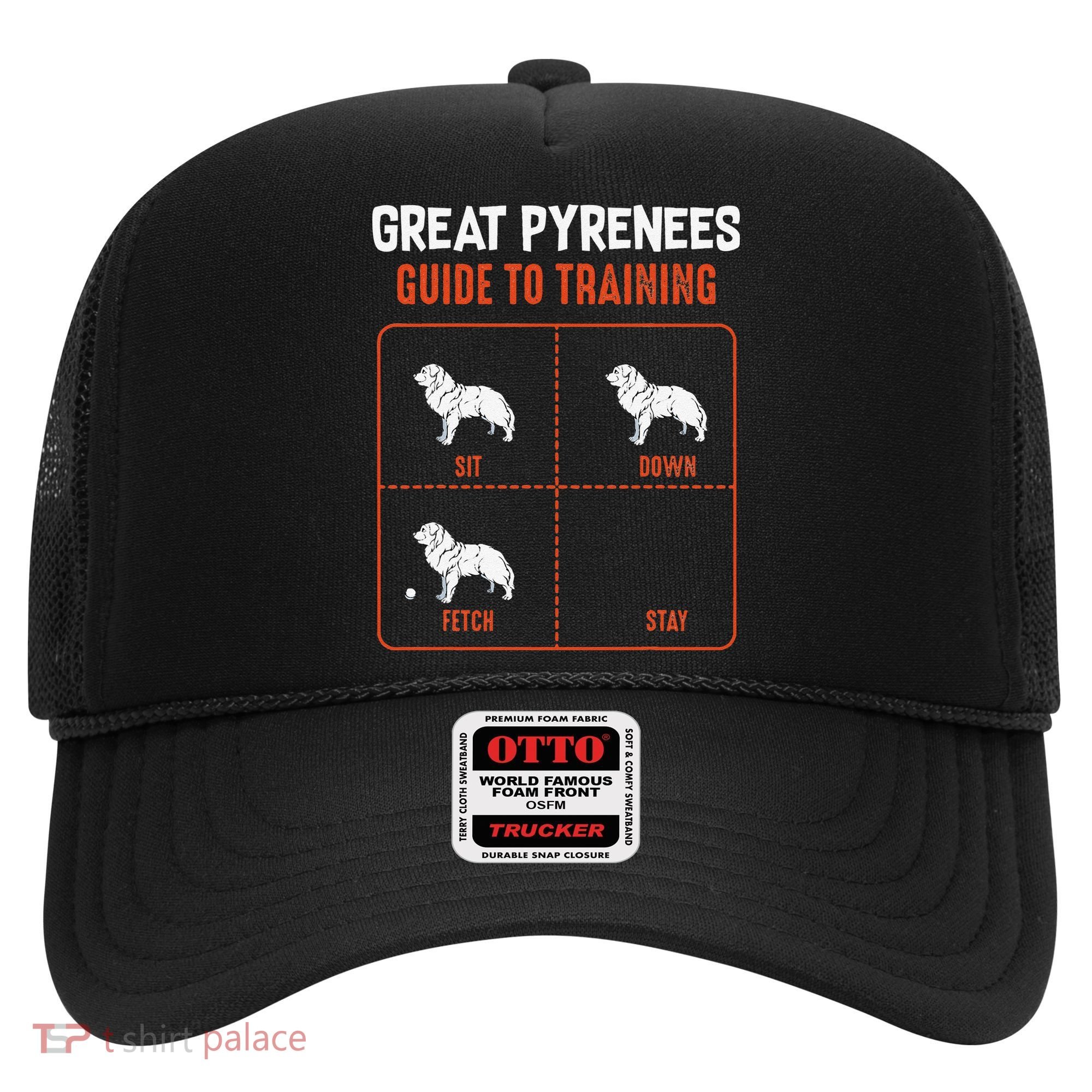 Great Pyrenees Guide To Training Funny Dog Pet Lover Hat