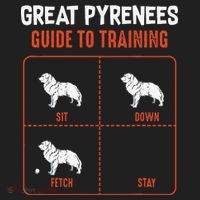 Great Pyrenees Guide To Training Funny Dog Pet Lover Hat thumb 2