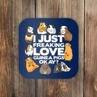 Guinea Pig Guinea Pig Lover Tee Funny Guinea Pig Coaster thumb 0
