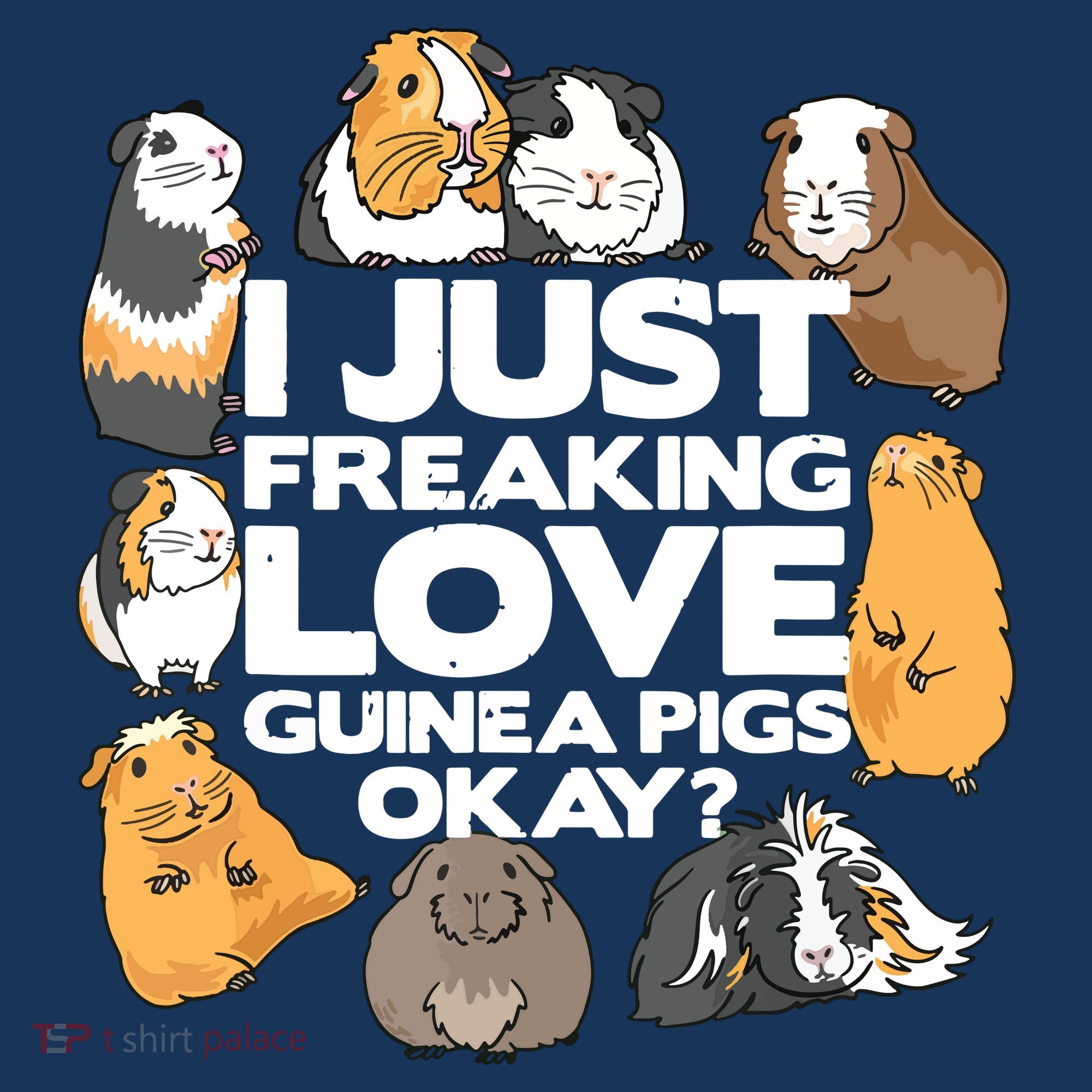Guinea Pig Guinea Pig Lover Tee Funny Guinea Pig Women's Tank Top