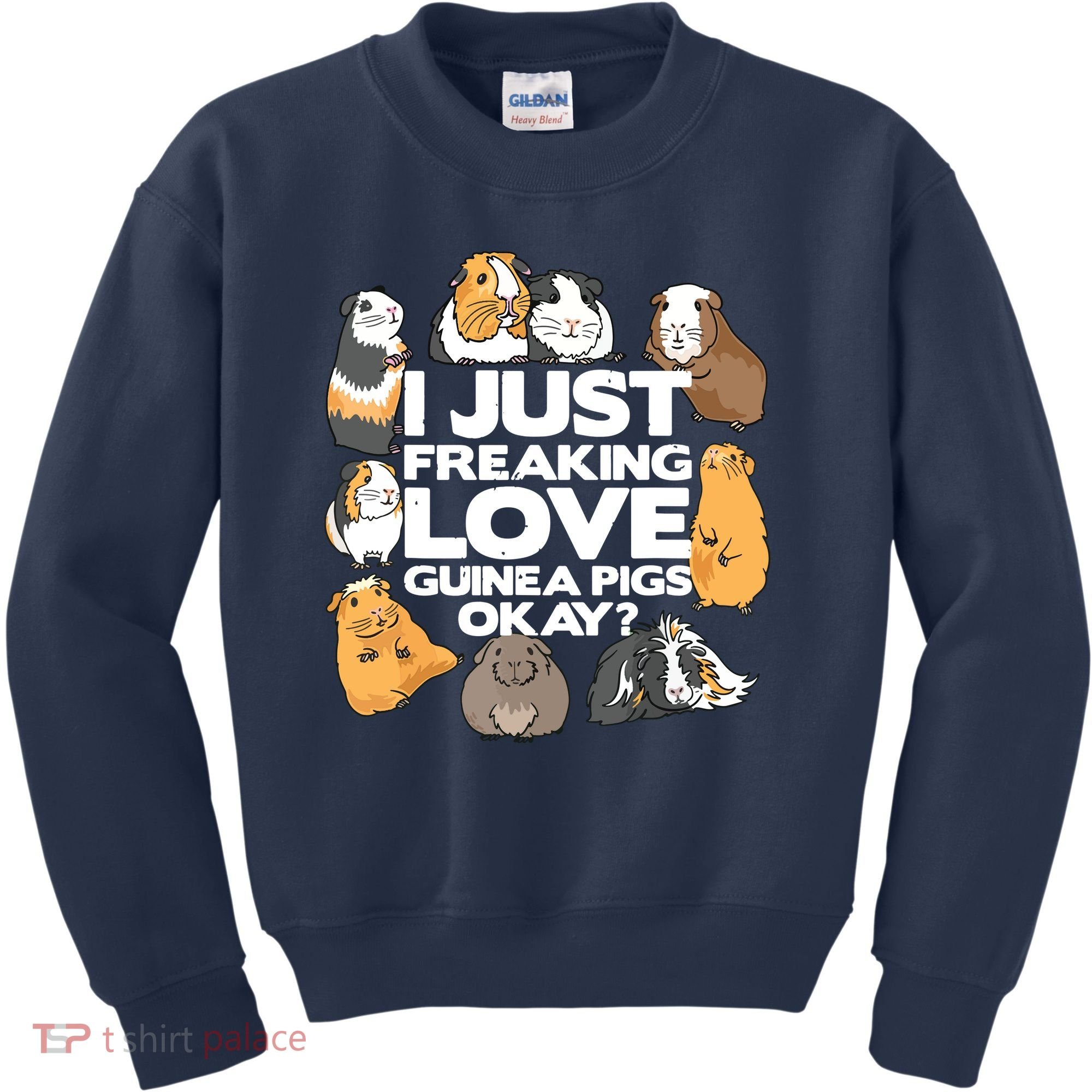 Guinea Pig Guinea Pig Lover Tee Funny Guinea Pig Kids Sweatshirt